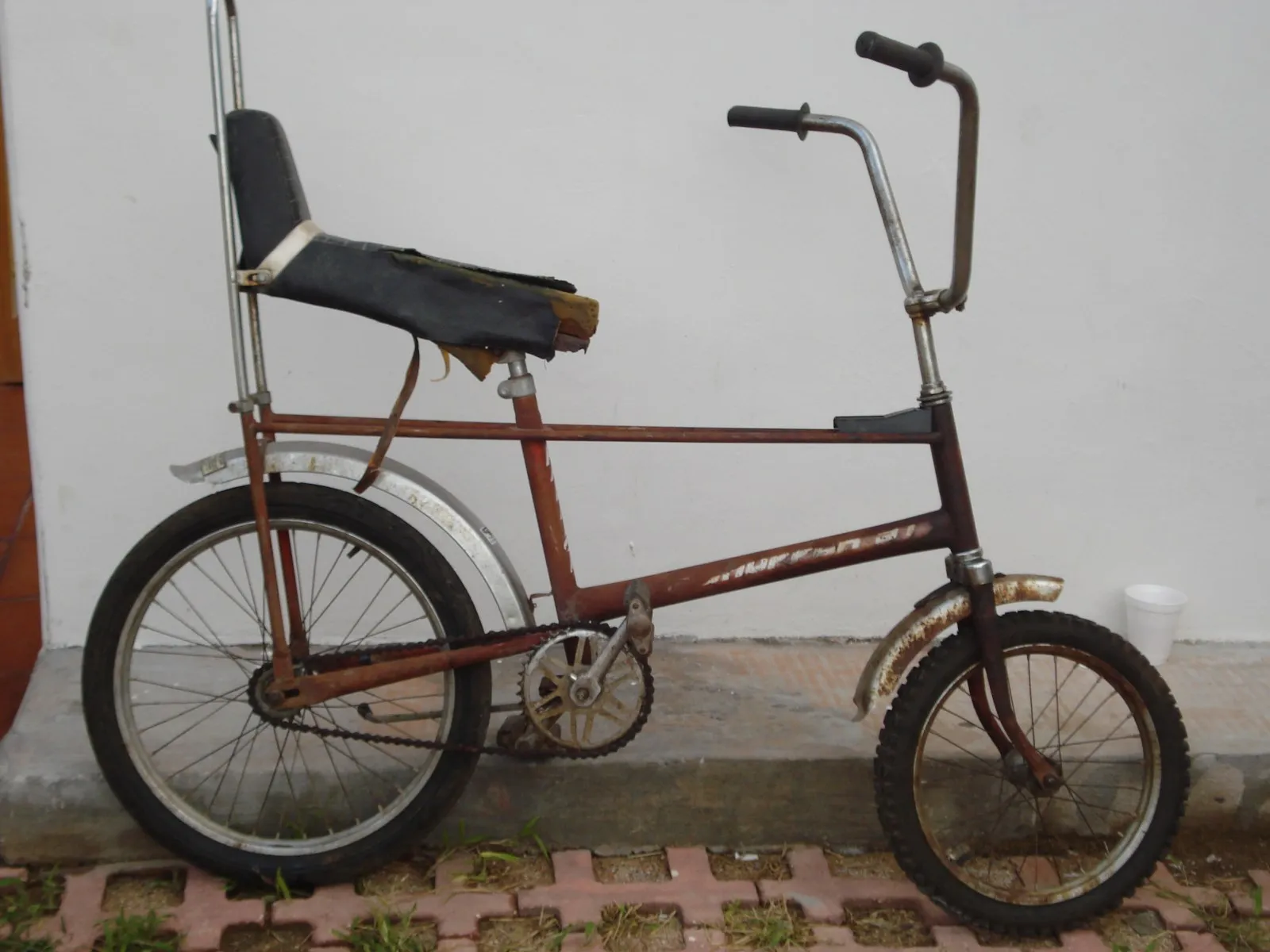 expo bicis vagabundo